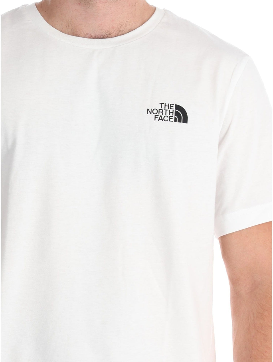 T-SHIRT the north face