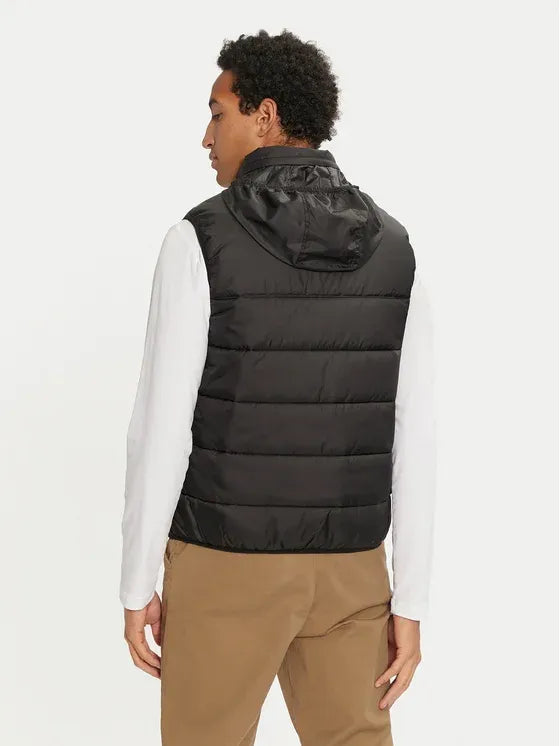 giubbini Lacoste